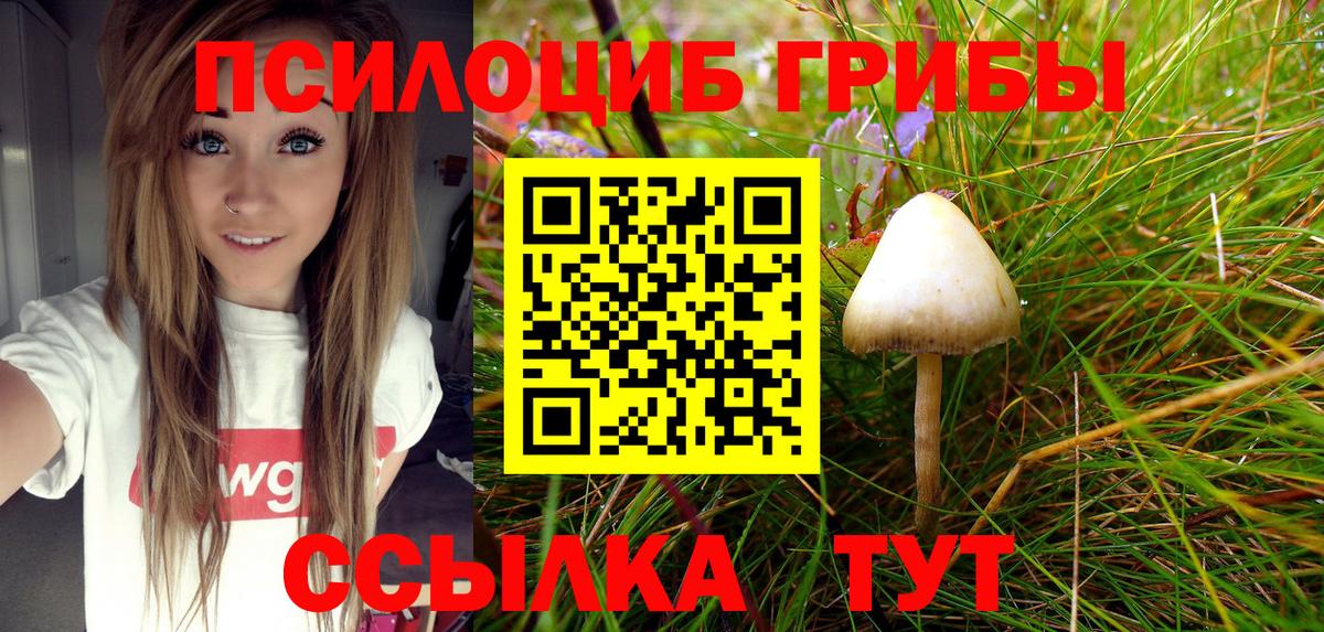 где купить наркоту  Галлюциногенные грибы MAGIC MUSHROOMS  Вход с VPN  Медногорск 